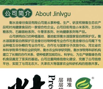 【河北特产】 金绿谷 黄金牛蒡茶250g/桶*2+一品杂粮3350g